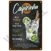 Metal Sign Vintage Tin Signs Retro Decorations Gin & Tonic Cocktail Plate Decorative Poster Plaque Bar Kitchen Home Wall Decor