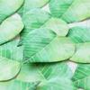 30 Pcs Leaf Sticky notes Planner to do list Planner Take notes messages memo pad Stationery office supplies