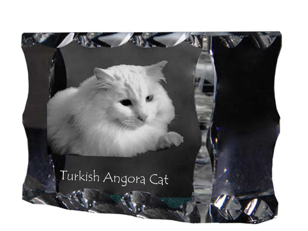 Turkish Angora – Crystal with a cat picture, glass statuette with a picture | Art-Dog