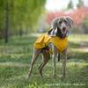Pet Raincoat Hooded Reflective Dog Raincoat Waterproof High-end Large Dog Dog Clothes Outdoor Pet Products