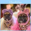 Ropa y calzado – Accesorios para perros