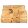 VidaXL Tabletop 110x20x2.5 Cm Live Edge Solid Mango Wood, Wooden Table Top, Side Table Top, 370325