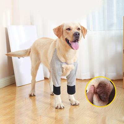 Dog Protector Front Chest Webbing Adjust Buckle Fixed Ring Comfortable Breathable After Injury Tool Cotton Dog Dislocation Knee Brace for Teddy