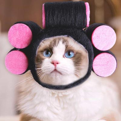 Kedi – Kediler için giyim