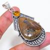 Natural Rock Fossil, Citrine 925 Sterling Silver Jewelry Pendant 2.76" ZS-801