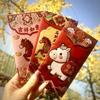 18Pcs Lucky New Year Red Packets Chinese Style 2026 Luck Money Bag  Spring Festival