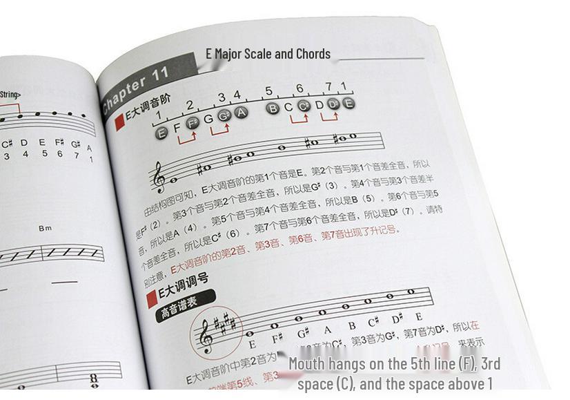 Easy Music Theory Illustrated Guide