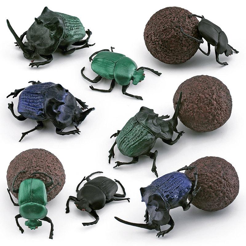 Cross-Border Insect Wildlife Model: Beetle & Scarab for Children's Science Education and Sand Table Decor