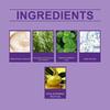 Hair ball essence Plant care Hair care essence Cleansing scalp and strengthening hair