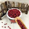 Organic Sasandra Berry Herbal Tea 500g Natural Detox Energy Boost