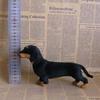 Kids 3D Puppy Realistic Child Gift Lifelike Pet Dachshund Simulation Toy Animals Dog Model