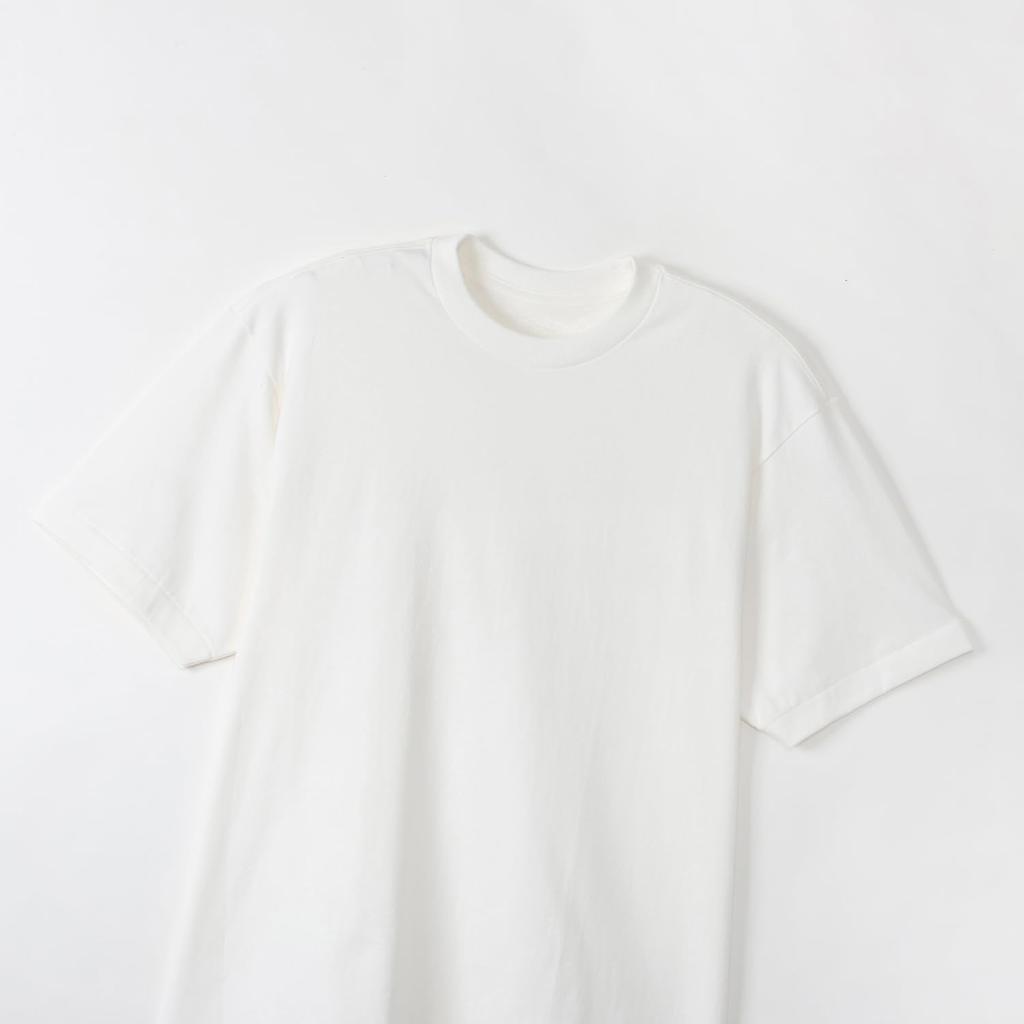 Hanes Men's T-SHIRTS SHIRO Crew Neck T-Shirt 2-Pack, 100% Cotton Short Sleeve Undershirt Seamless Tagless HM1-D701-S
