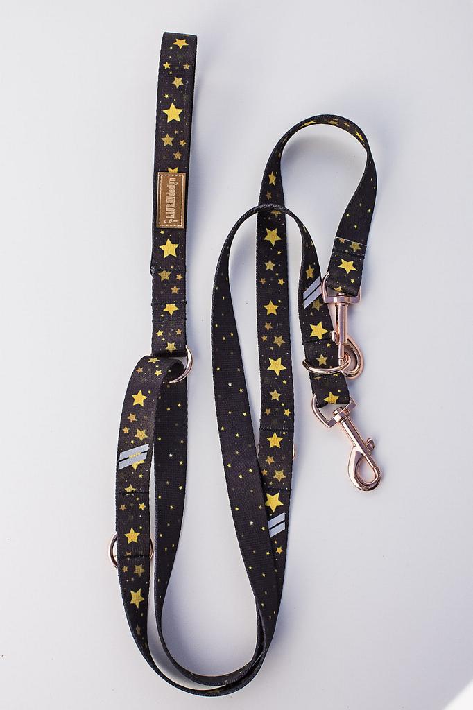 Reversible Leash 2.5cm x 240cm Stars Gold