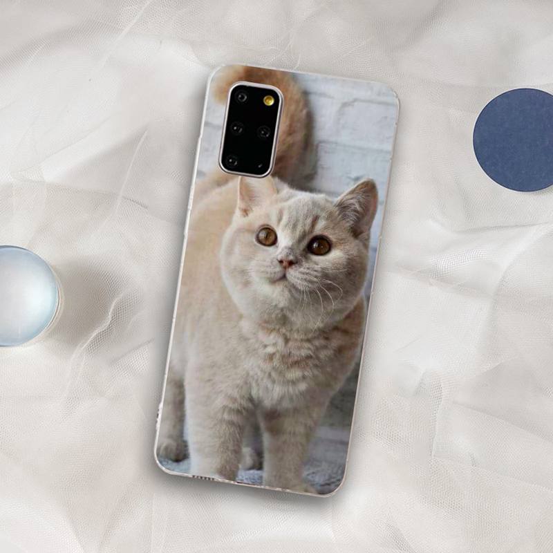 British Shorthair cat Phone Case for Samsung S21 A10 for Redmi Note 7 9 for Huawei P30Pro Honor 8X 10i cover