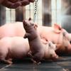Medium Size Realistic Sleeping Pig Plush Toy Cotton Stuffed Soft Pillow for Home Decor Children Holiday Gift