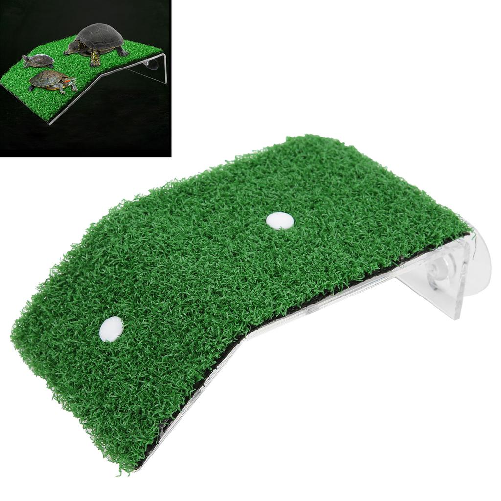 Plateforme de Baignade pour Reptiles Gazon de Simulation en Plastique pour Baignade de Soleil Escalade Aménagement PaysagerS