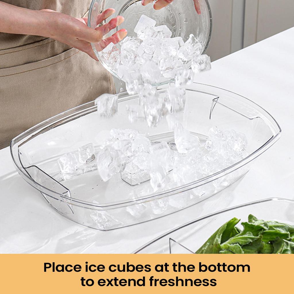 Chilled Serving Tray With Lid 4 Compartments Ice Cooling Platter Divided Fruit Tray For Party Snacks Seafood Salad Desserts