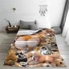 Corgi Dog Blanket  Airplane Travel Flannel Throw Blanket For Couch Bed Warm Soft Custom Quality Bedspread Gift