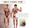 [pkpohs] Muscle Bodysuit, Bodybuilding Costume, Cosplay, Macho, Muscle Suit, Halloween (Medium)