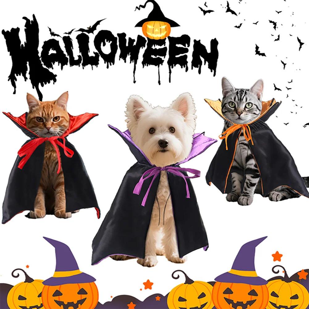 Coole Fledermaus-Verwandlung Halloween Haustierkostüm Stehkragen Bequemer Katzen-Cosplay-Umhang Schleife Einfach Anzuziehen Kätzchenkleid Party