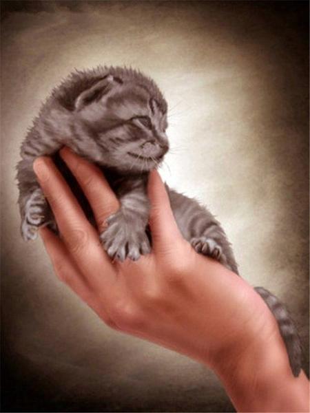 Diamond Painting Cat 5D DIY Diamond Embroidery Sale Cross Stitch Animals Rhinestones Mosaic Kit Home Decoration