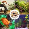 Pești și animale marine – Filtre și pompe de acvariu