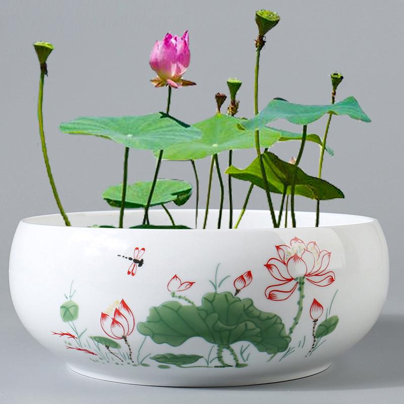 Großer Keramik-Lotus Seerose Hydroponischer Blumentopf ohne Abfluss