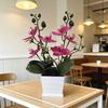 Butterfly Orchid Artificial Plant With Plastic Pot For Home Decor And Events