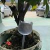 Imitation Glass Bird Automatic Watering Device Home Drip Irrigation Watering Tool Creative Potted Automatic Water Seepage Device