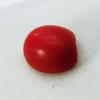 Corallo Rosso Italiano Naturale da 2 Carati Taglio Cabochon Pietra Preziosa Sfusa