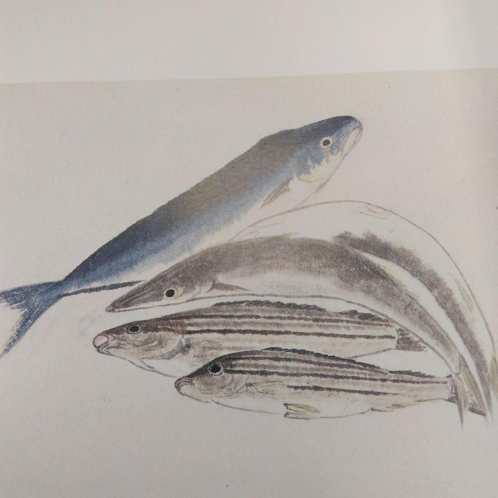 [USED] The life and work of Empress Kojun