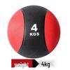 Solid Rubber Medicine Ball