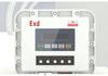 Explosion-Proof Cast Aluminum Instrument Box with Temperature Controller