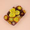 Useful Dried Flower Soft Pretty Decorative