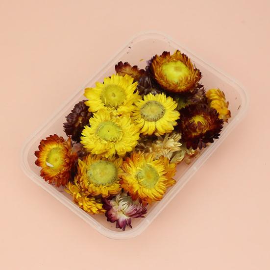 Useful Dried Flower Soft Pretty Decorative