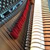 Piano Universal Soundproof Tape Tuning Professional Tool Accessories Wool Felt Silent Cotton Strips