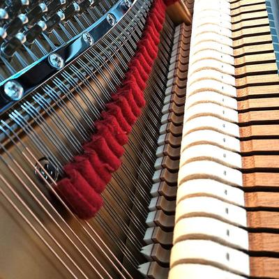Nastro Fonoassorbente Universale per Pianoforte Accordatura Strumento Professionale Accessori Feltro di Lana Strisce di Cotone Silenziose