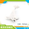 Simulation Polar Animal Set Model Arctic Rabbit White Fox Polar Bear Beluga Whale Seal White Owl Static Ornament