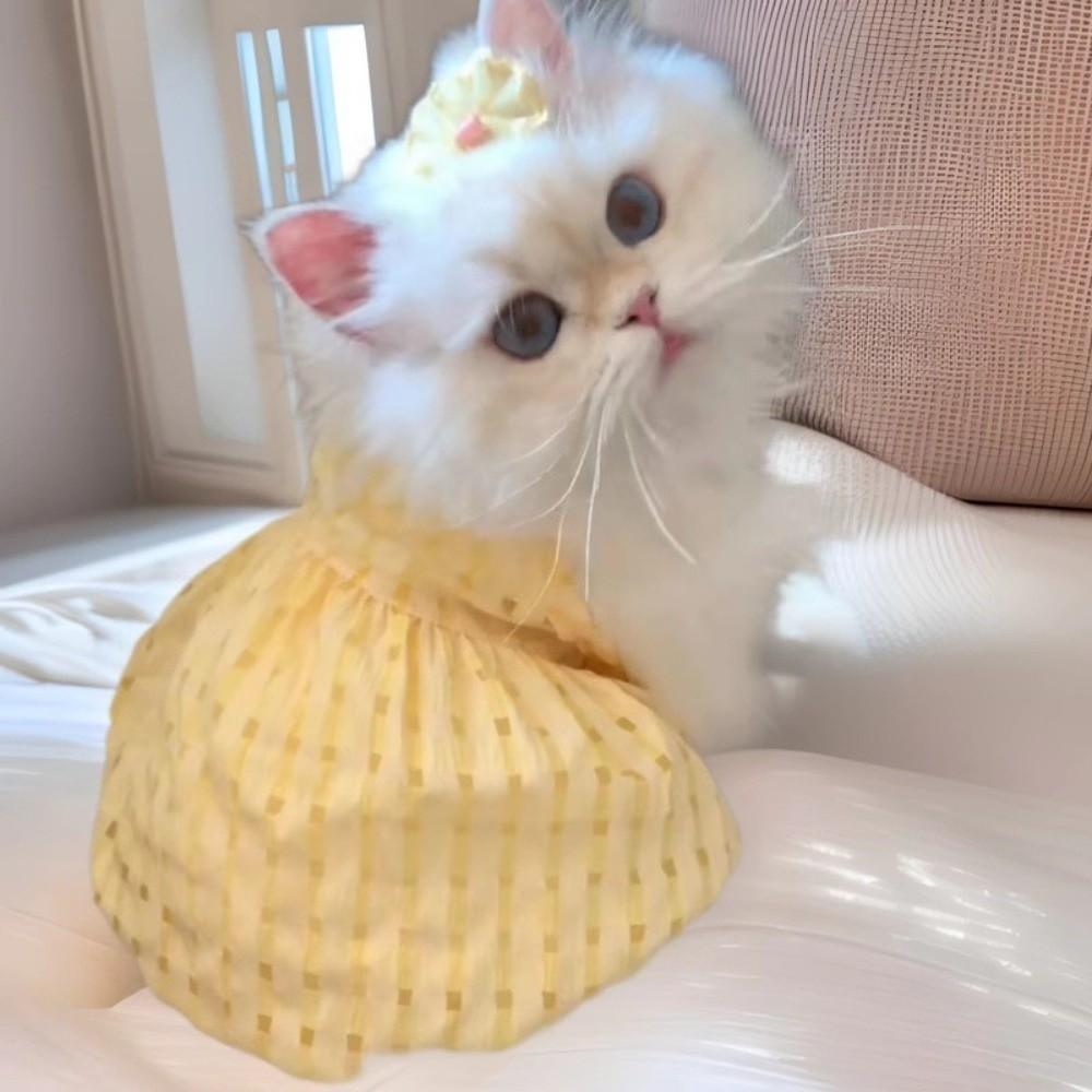 Sweet Cat Princess Skirt Soft Puppy Dresses Fashion Dog Plaid Dress  Spring Summer