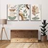 3 pcs Framed Boho Canvas Wall Art Green Sage Botanical Painting Wall Decor Pictures Mid Century Modern Minimalist poster prints for Living Room