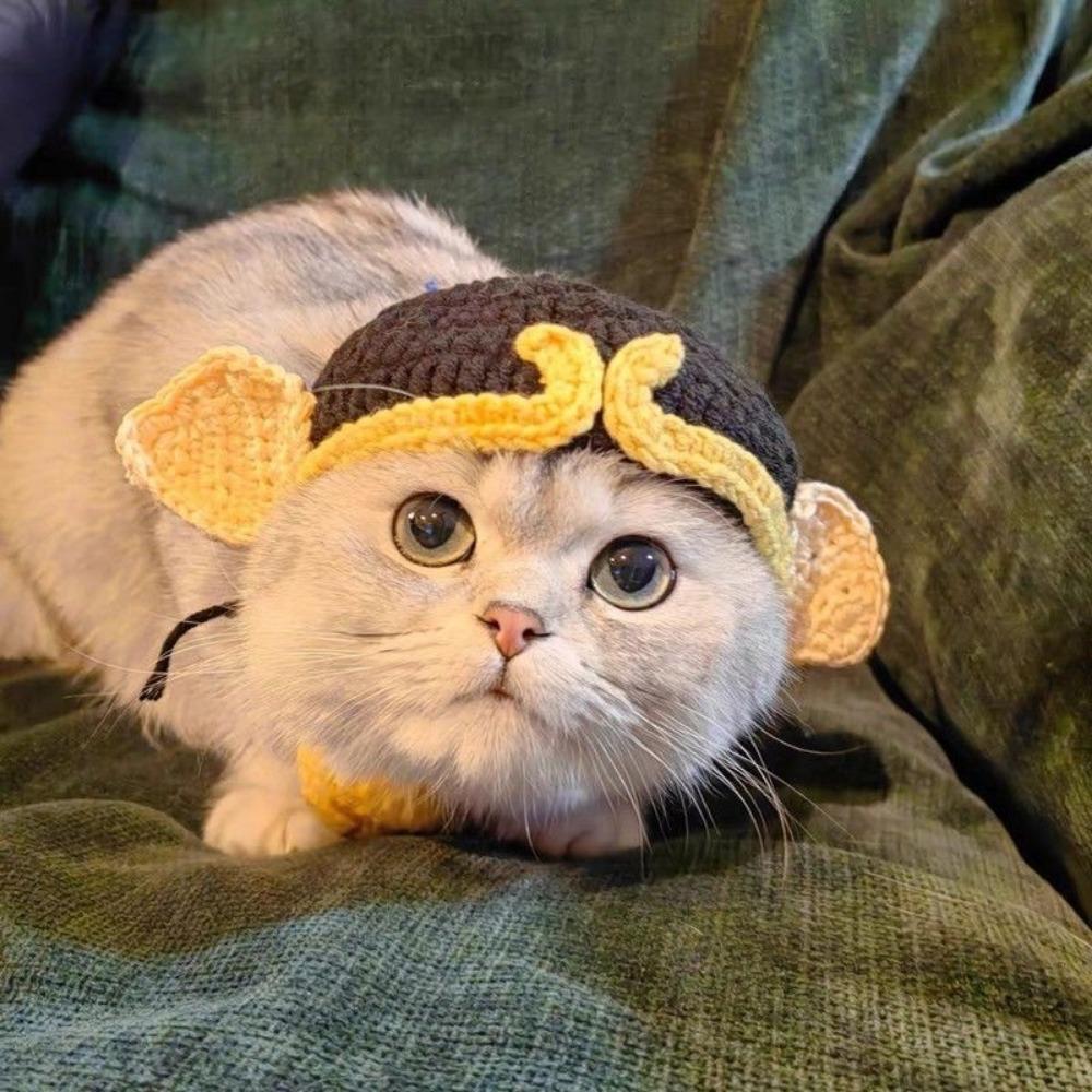 Cappello intrecciato a mano per animali domestici, simpatico cartone animato gatto cane, abbigliamento cappello decorazione, copricapo per animali domestici