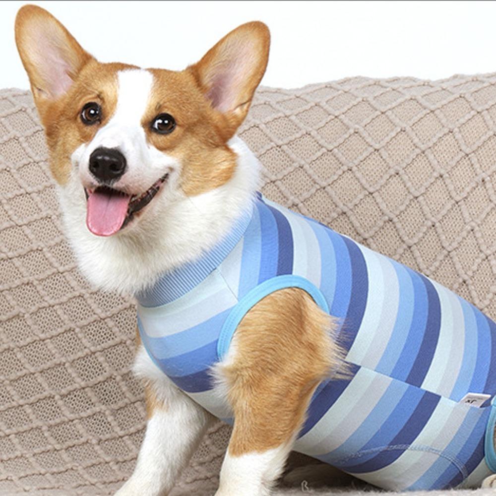 Blue Striped Pet Surgery Clothes Snap Buttons Small Dog Post-op Wear  Pet Injury Care