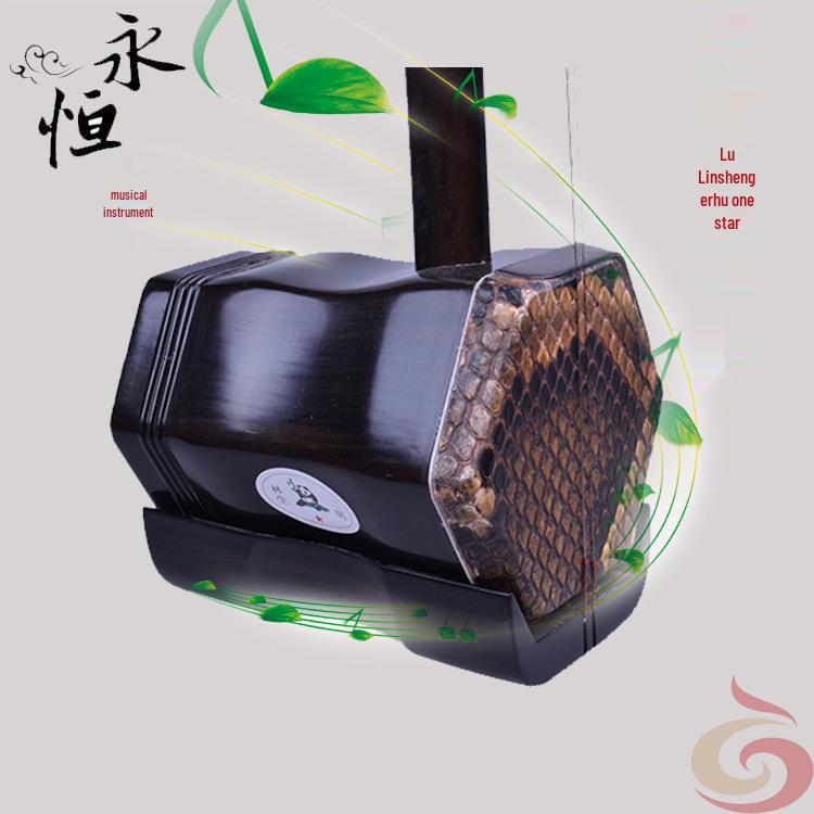 One-Star Pearwood Erhu for Beginners by Lu Linsheng Lu Linsheng