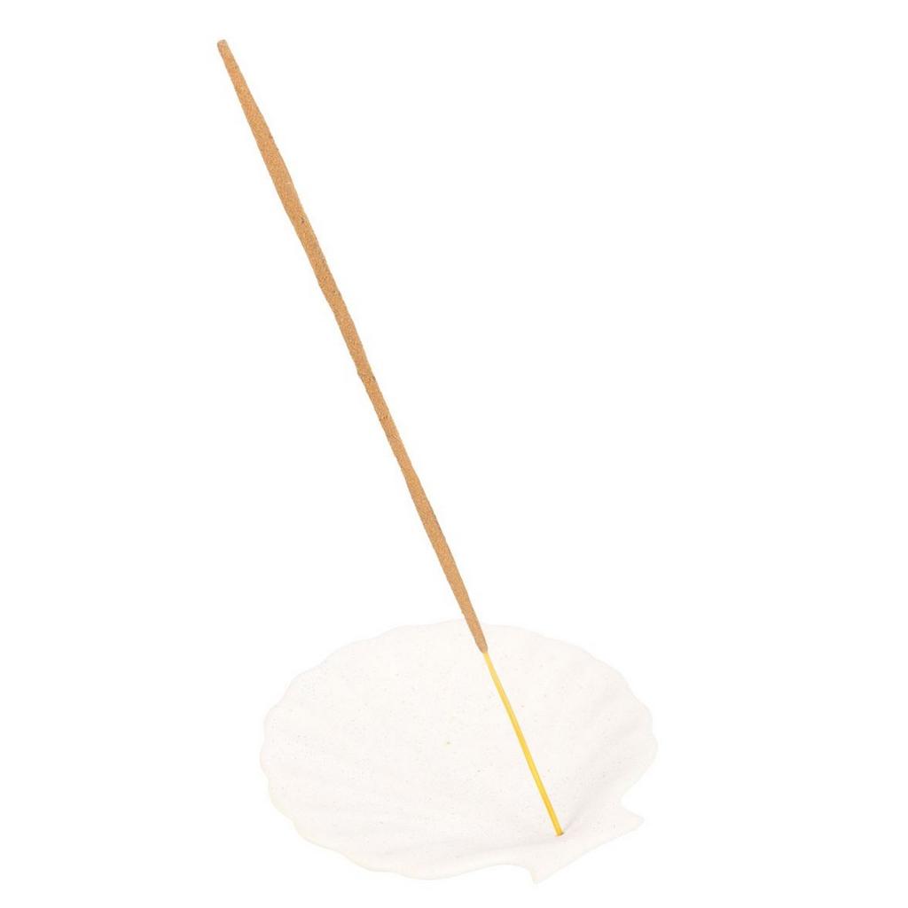 Something Different Scallop Incense Holder