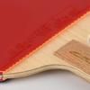 Raquette de tennis de table DHS Chen Meng GC08 Professionnelle Porte-plume
