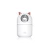 300ml Cute Cat H2o Room Mist Spray Essential Oil Diffuser Aromatherapy Portable Car Air Diffuser Mini Humidifier