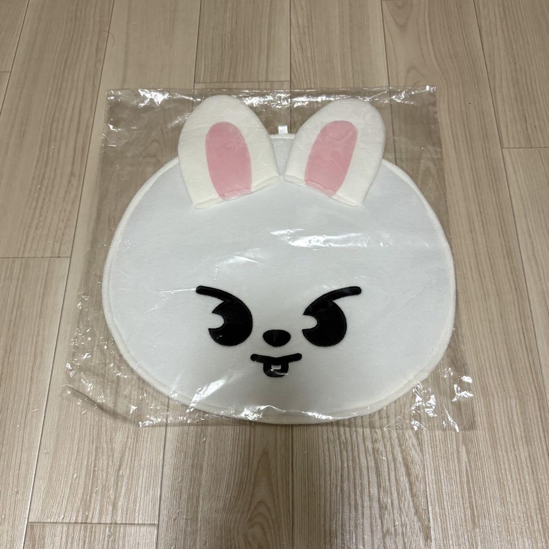 

[USED] Stray Kids Leavitt Fan Case