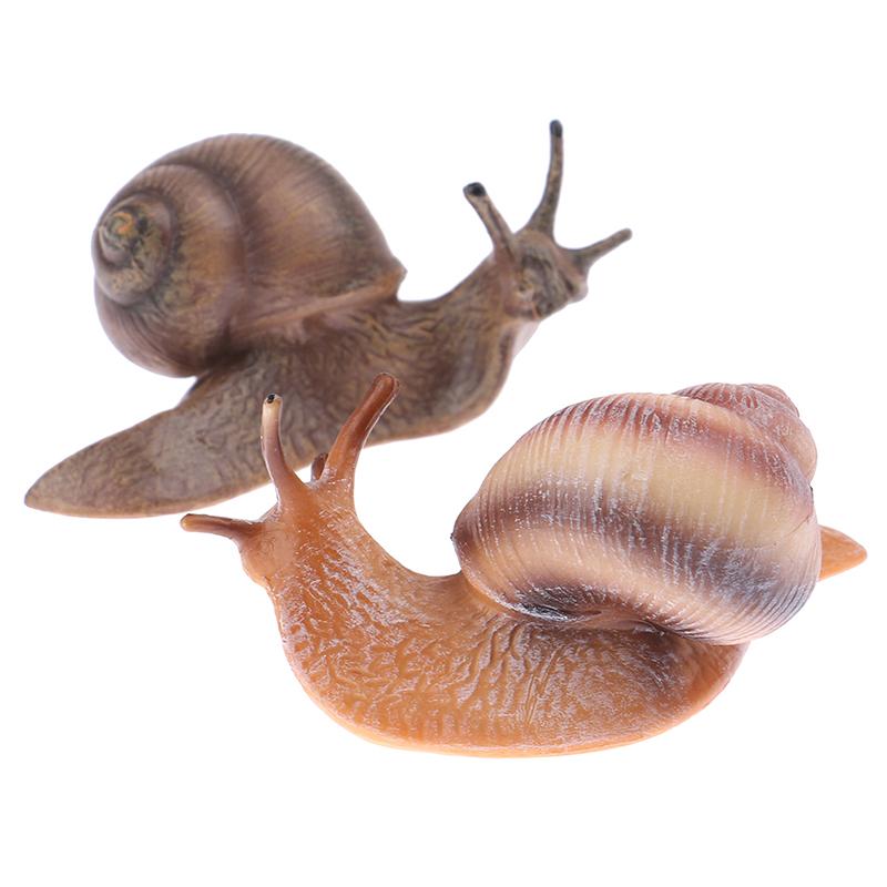 Simulation Animal Insect Model Mini Animal Snail Growth Cycle Ornament