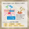 Grace One Wrinkle Care Moisture Repair Gel Cream EX Refill Wrinkle Improvement 90g [Quasi-drug] All-in-one Anti-aging