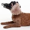Breathable Mesh Dog Muzzle Anti Bark Pet Mouth Cover Prevent Biting Chewing Dog Training Muzzle for Walking Grooming